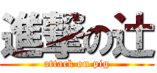 進撃の辻 (attack on pig)