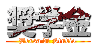 奨学金 (Borsa di Studio)