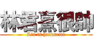林君熹很帥 (Lin is handsome)