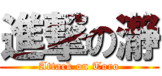 進撃の瀞 (Attack on Toro)