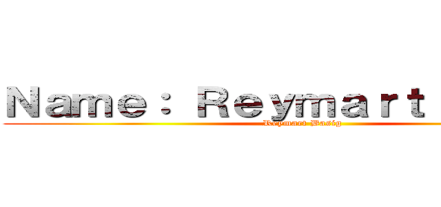 Ｎａｍｅ： Ｒｅｙｍａｒｔ Ｂａｓｉｇ (Reymart Basig)