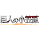 巨人の小笠原 (なお、まにあわんもよう)