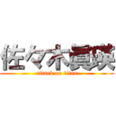 佐々木眞瑛 (attack on titan)