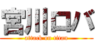 宮川ロバ (attack on titan)