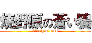 焼野原の蒼い鴉 (burnig of crow)