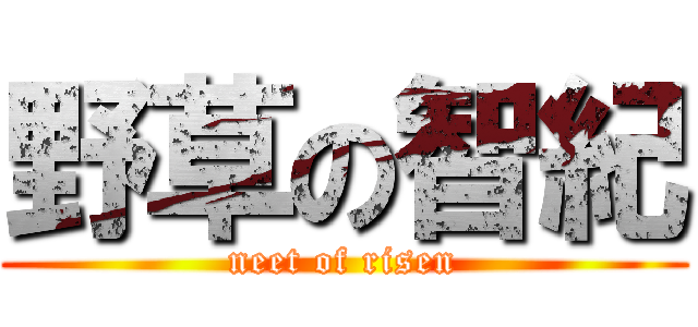 野草の智紀 (neet of risen)