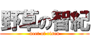 野草の智紀 (neet of risen)