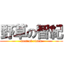 野草の智紀 (neet of risen)