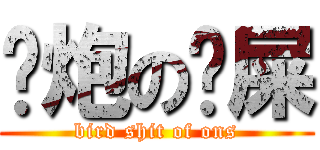 约炮の鸟屎 (bird shit of ons)