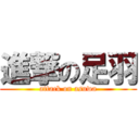 進撃の足羽 (attack on asuwa)