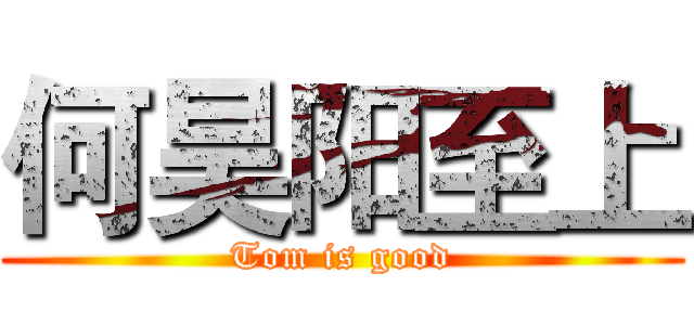 何昊阳至上 (Tom is good)