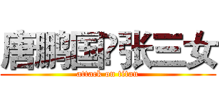唐鹏国❤张三女 (attack on titan)