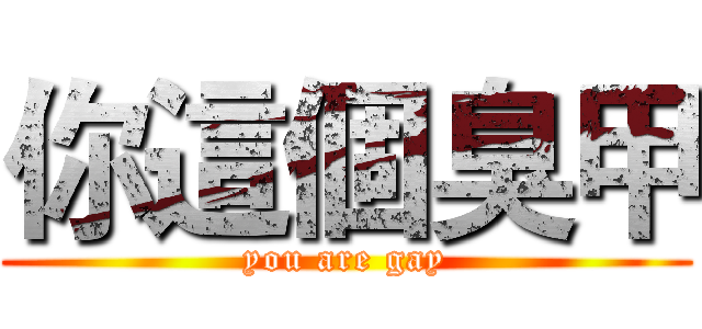 你這個臭甲 (you are gay)