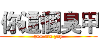 你這個臭甲 (you are gay)