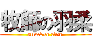 牧師の羽柔 (attack on titan)