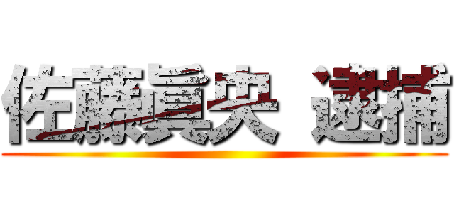 佐藤眞央 逮捕 ()