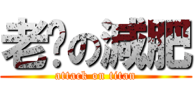 老貓の減肥 (attack on titan)