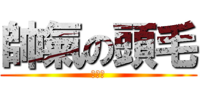 帥氣の頭毛 (挖嘎嘎)