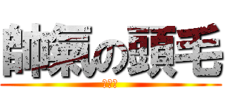 帥氣の頭毛 (挖嘎嘎)