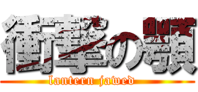 衝撃の顎 (lantern jawed  )