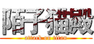 陌子猫殿 (attack on titan)