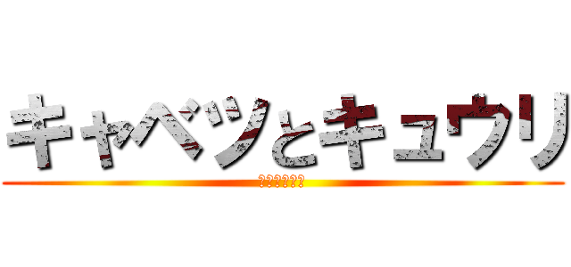 キャベツとキュウリ (ただの野菜！)
