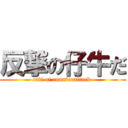 反撃の仔牛だ (calf of counterattack )