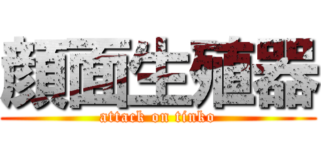 顔面生殖器 (attack on tinko)