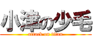 小津の少毛 (attack on titan)