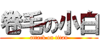 卷毛の小白 (attack on titan)