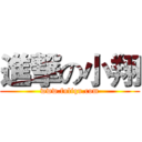 進撃の小翔 (www.fuliqu.com)