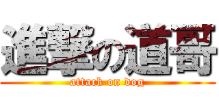 進撃の道哥 (attack on dog)