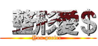  整形愛＄ (You prefer )