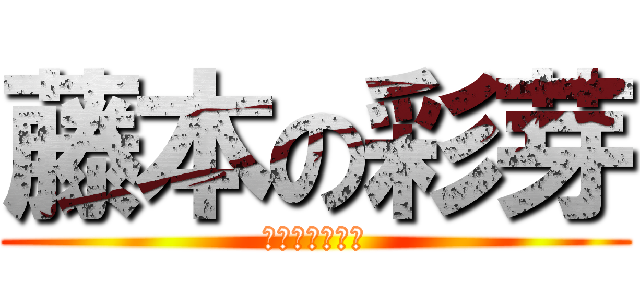 藤本の彩芽 (ふじもとあやめ)