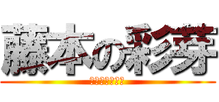 藤本の彩芽 (ふじもとあやめ)