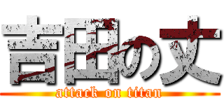 吉田の丈 (attack on titan)