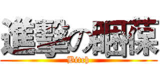 進擊の睏葆 (Bitch)