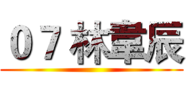 ０７ 林韋辰 ()
