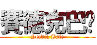 賽德克巴萊 (Seediq Bale)