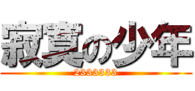 寂寞の少年 (2333333)