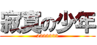 寂寞の少年 (2333333)