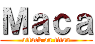 Ｍａｃａ (attack on titan)