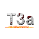 Ｔ３ａ (ＳNGK Gaming)
