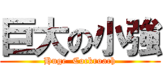 巨大の小強 (Huge  Cockroach)