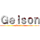 Ｇｅｌｓｏｎ (Martins)