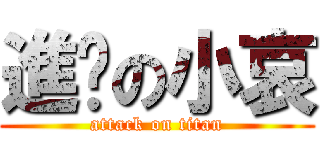 進擊の小哀 (attack on titan)