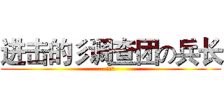 进击的彡调查团の兵长 (林旺敏)