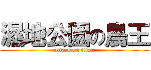 濕地公園の鳥王 (attack on titan)