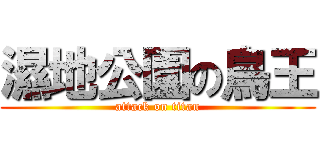 濕地公園の鳥王 (attack on titan)