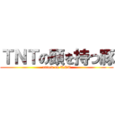 ＴＮＴの頭を持つ豚 (attack on TNT)